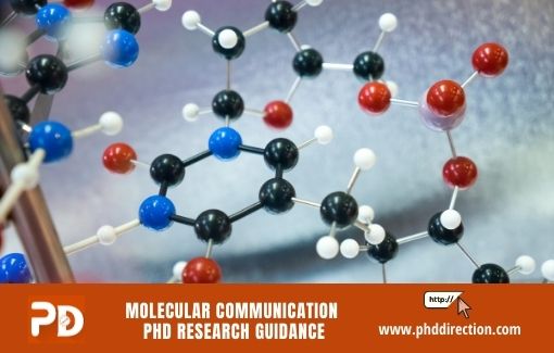 Molecular Communication PhD Research Guidance